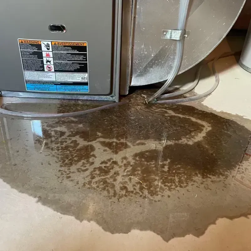 Appliance Leak Cleanup in Willow Springs, MO